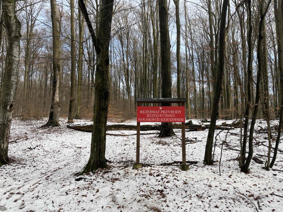 472959576 1539892873390408 2036447161795625239 n