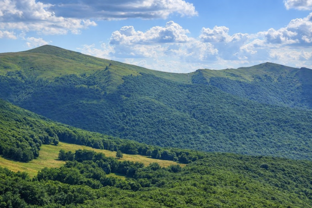 halicz i przełęcz leszczyckiego